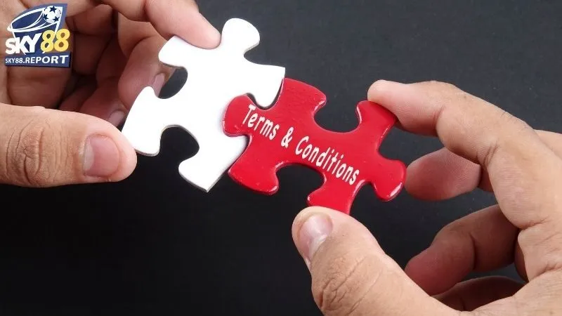 Điều Khoản Sky88: Cam Kết Minh Bạch, Bảo Vệ Người Chơi 1 điều khoản Sky88