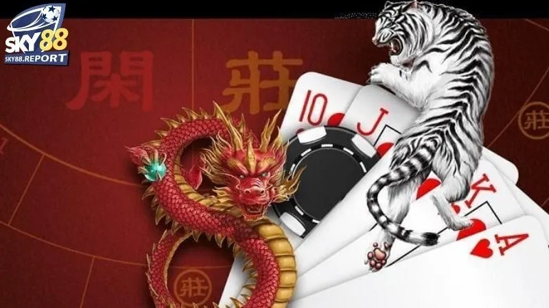 Tỷ Lệ Thắng Cao trong Rồng Hổ Sky88: Thực tế và kỳ vọng